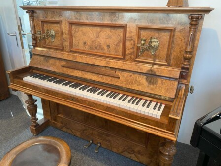 Einbau bei Schimmel in Braunschweig vorgenommen